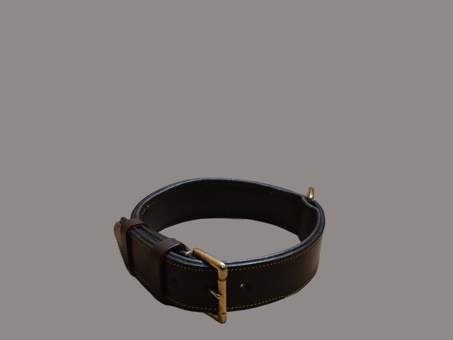 Brown leather collar with gold hardware on a beige surface