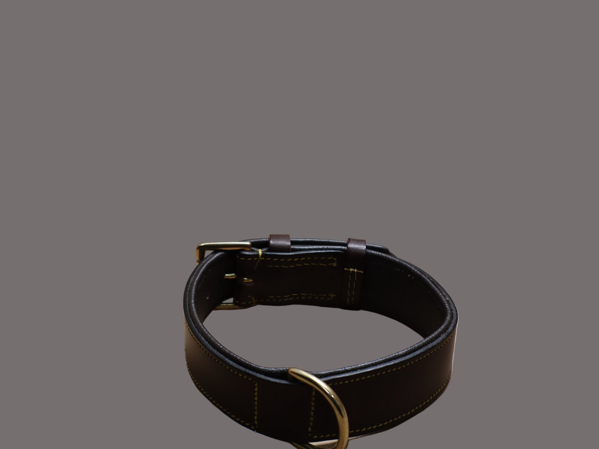 Brown leather dog collar with brass buckle on a beige surface