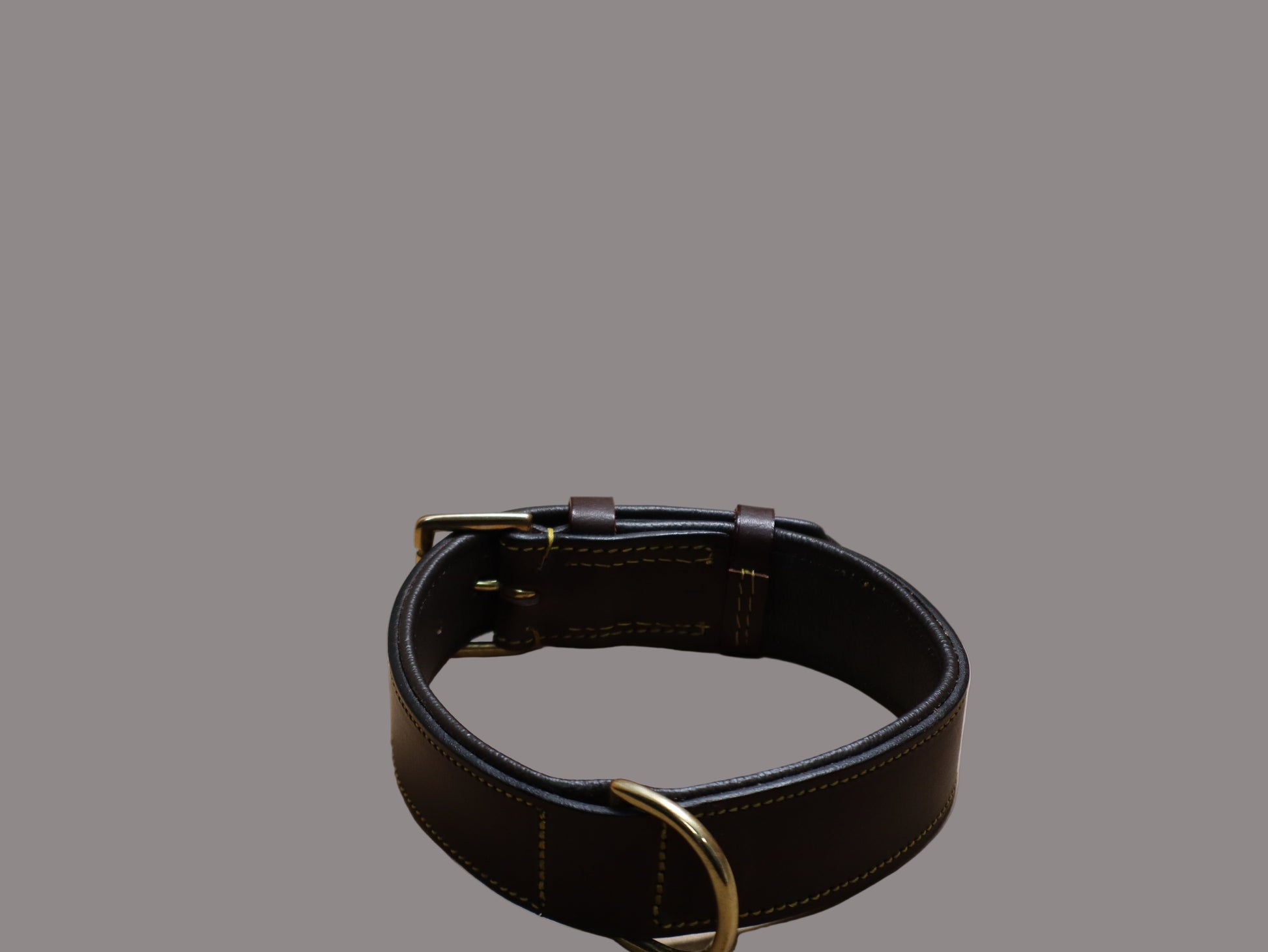 brown leather dog collar with brass buckle on a beige surface